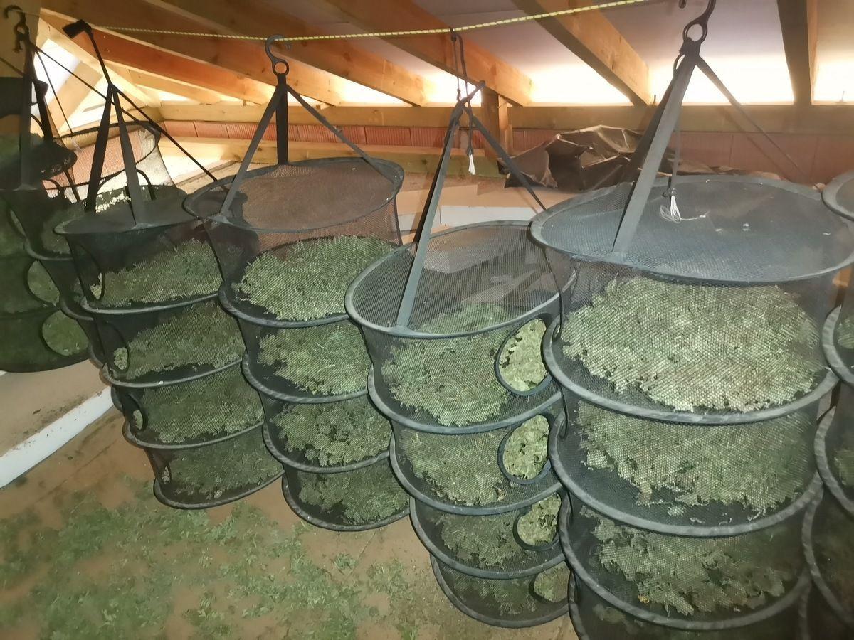 Policjanci zatrzymali 17 kg marihuany. Dwóch mężczyzn w areszcie
