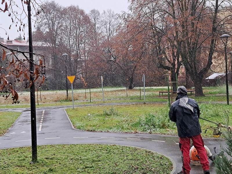 Minęło ledwie kilka miesięcy, a już zdążyli zniszczyć