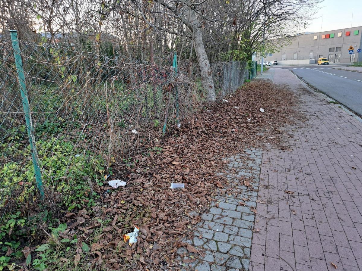 Trasa do galerii w Przemyślu aż prosi się o sprzątanie