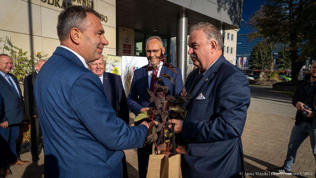 Miododajne krzewy i drzewa przekazane samorządowcom