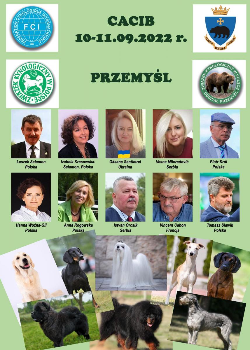 II Międzynarodowa Wystawa Psów Rasowych już w najbliższy weekend