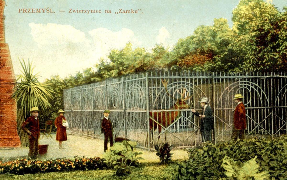 Dawny zwierzyniec przemyski i jego likwidacja  