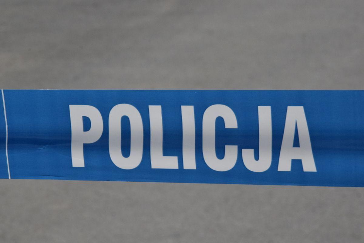 Byk zaatakował mężczyznę. 44-latek zmarł na miejscu