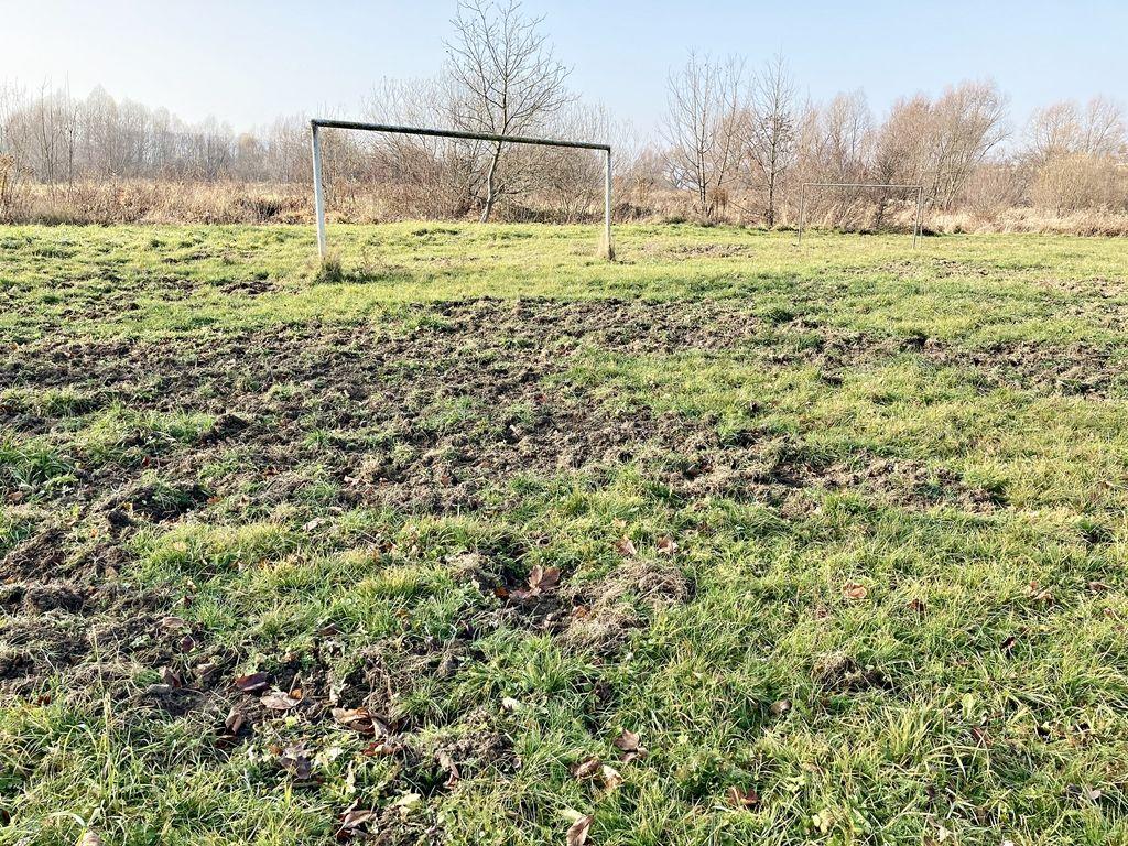 Dzik jest dziki. Dlaczego miasto nie chce pomóc klubowi?