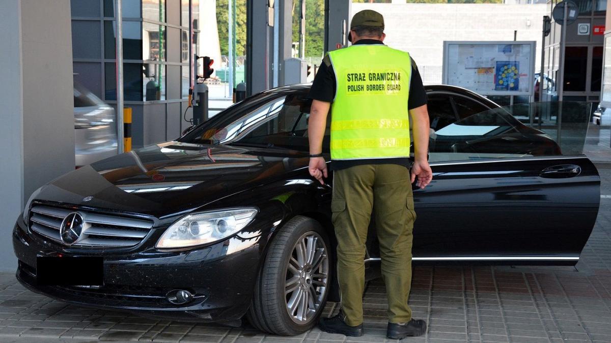Skradziony mercedes i papuga bez zezwolenia