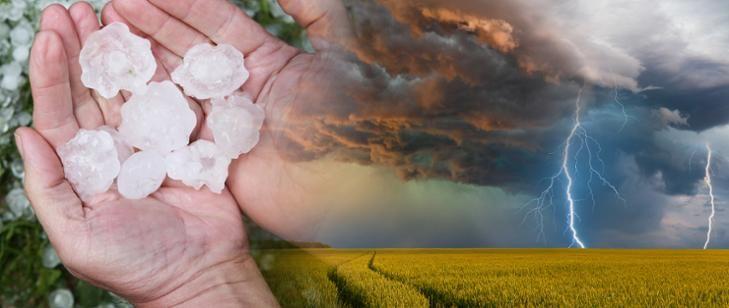 „Pomoc klęskowa” dla poszkodowanych przez niekorzystne zjawiska atmosferyczne 