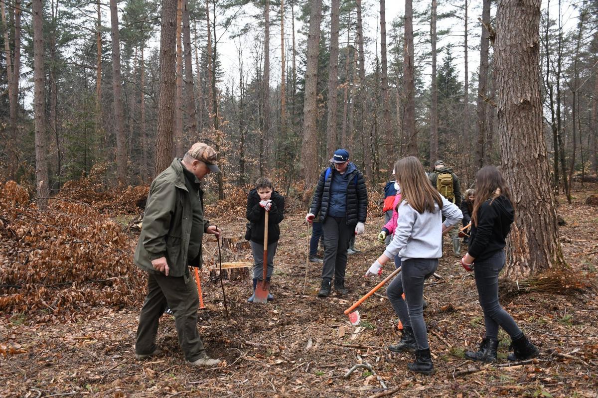 Wystartowało wiosenne sadzenie lasów