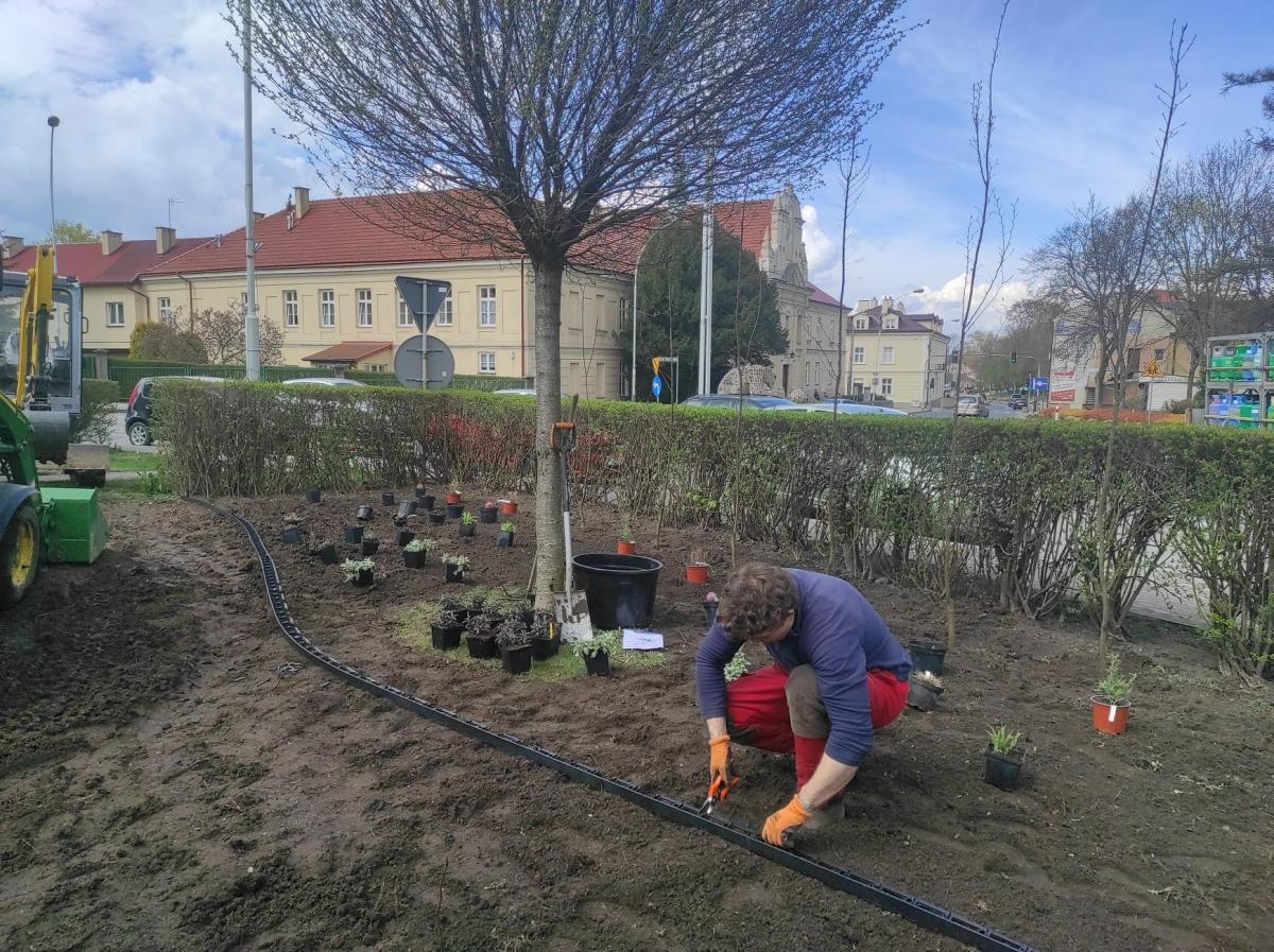 Finał prac przy „Ogrodzie Literackim” w Przeworsku
