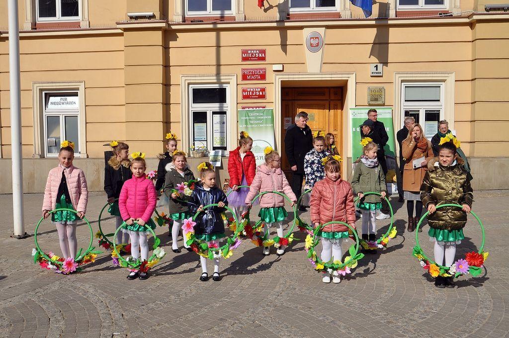 Posadzili żonkile u stóp króla Jana III Sobieskiego