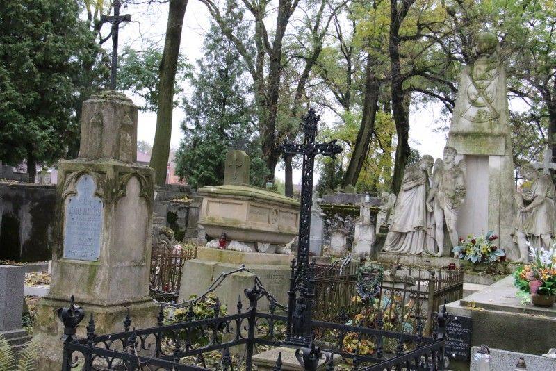 Będzie pielęgnacja drzew na starym cmentarzu. Pod topór idą dwa drzewa