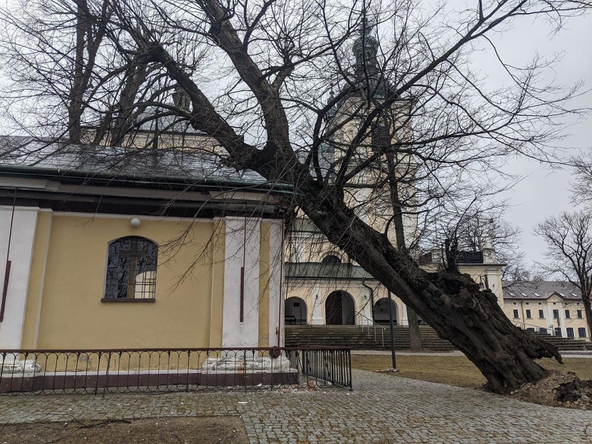 Niszczycielskie wichury. Na szczęście nikt nie zginął... [ZDJĘCIA]