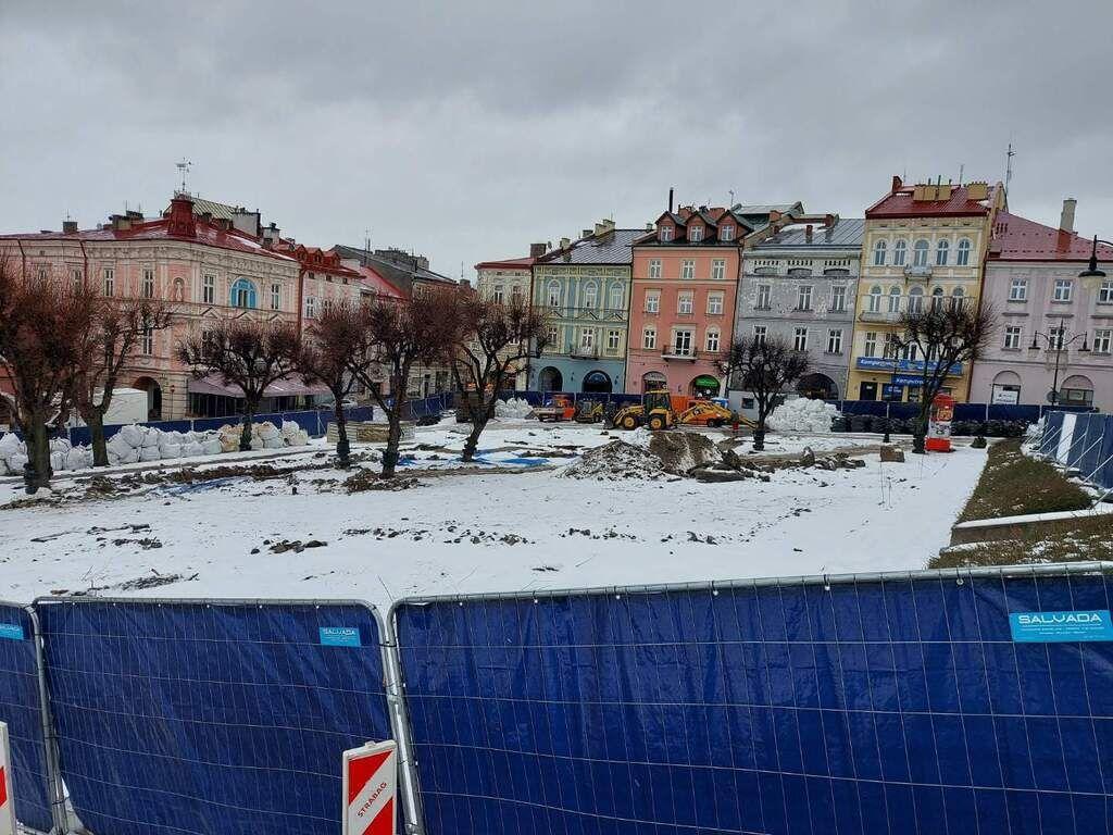 Drzewa na Rynku – efekt niewiedzy