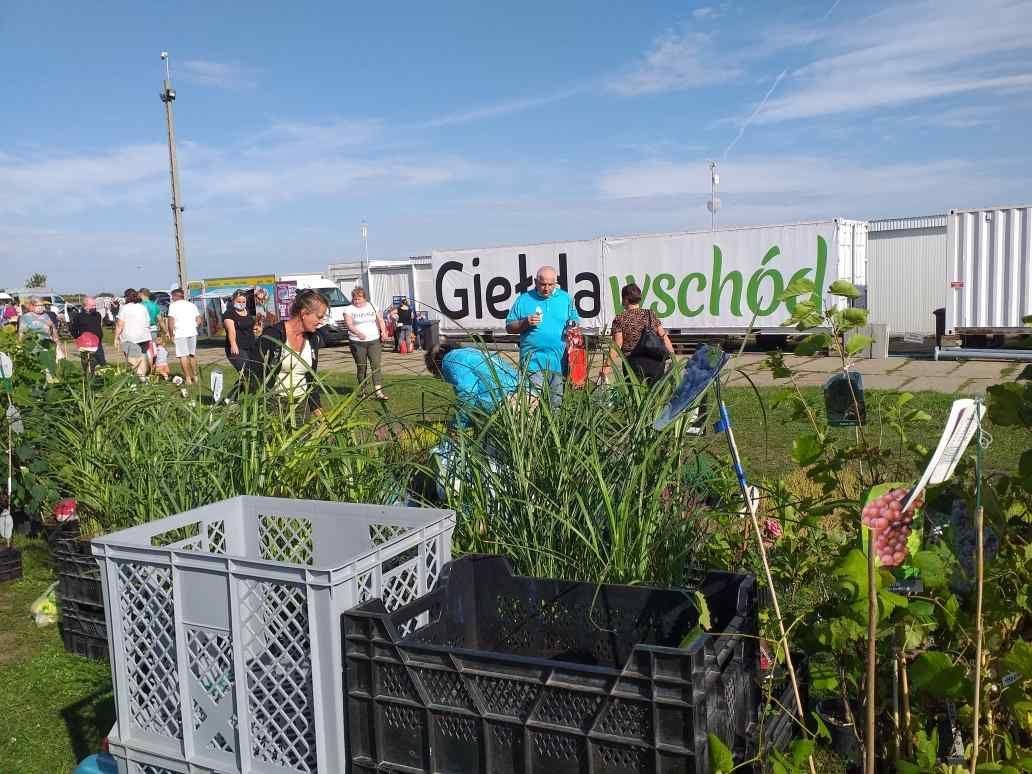 Przy Giełdzie „Wschód” w Skołoszowie powstanie nowe skrzyżowanie. Będzie bezpieczniej!