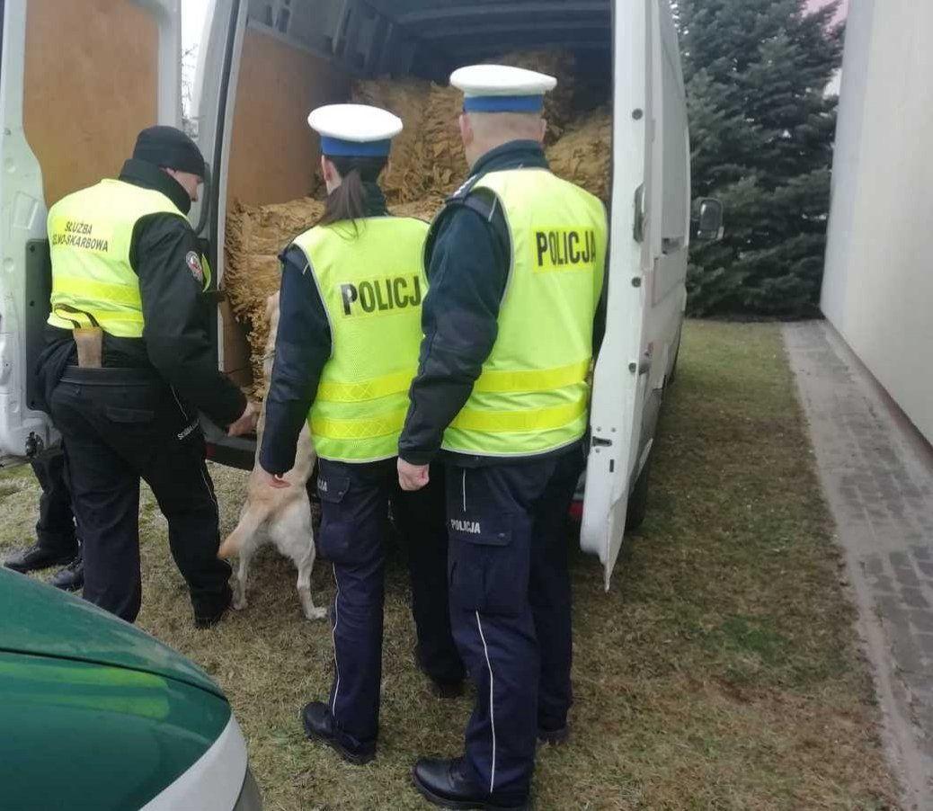 Przewoził ponad tonę nielegalnego tytoniu [ZDJĘCIA]