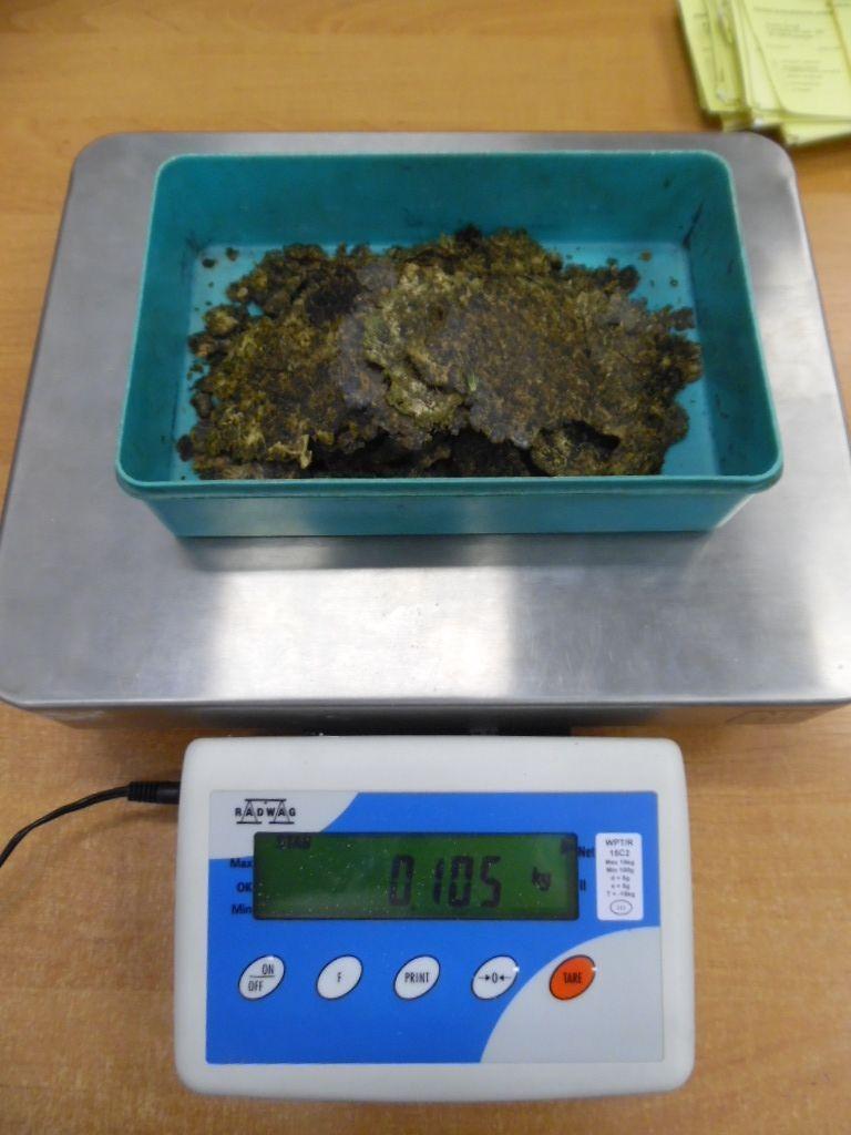 Kilogram marihuany i 20 gramów haszyszu w paczkach z Wielkiej Brytanii [ZDJĘCIA]