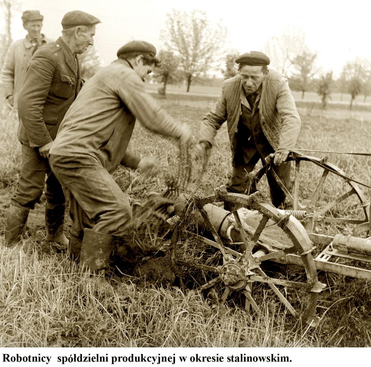 Za pracę płacono koniczyną, ziemniakami, zbożem, sianem, a nawet słomą