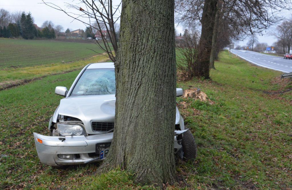 Wierzbna: zasnął za kierownicą volvo i uderzył w drzewo [ZDJĘCIA]
