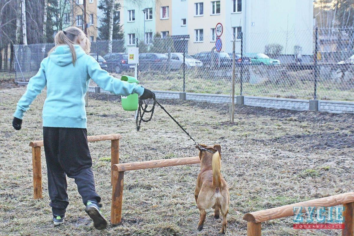 Psi wybieg od dawna ma Jarosław. Dlaczego nie Przemyśl?