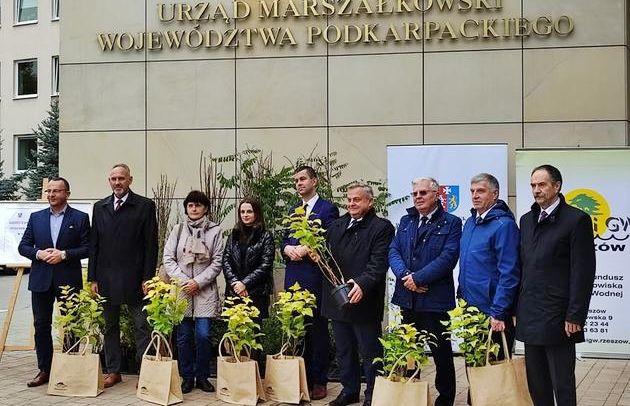 Dla pszczół i naszego dobra. Tysiące miododajny sadzonek rozdanych