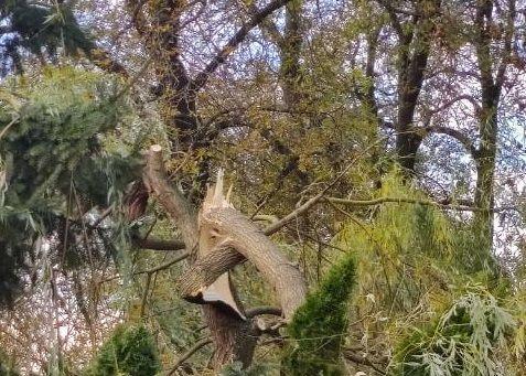 Powiało. Połamane drzewa, a w Mokrej wiatr zerwał dach z budynku