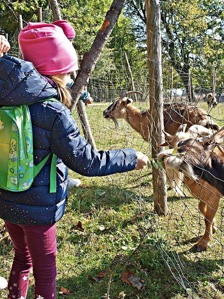 „Cudze chwalicie, swego nie znacie… Udana impreza na forcie Werner