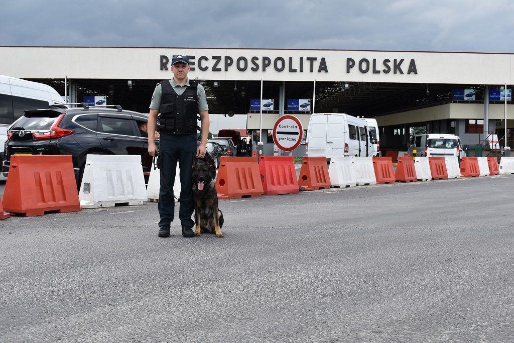 Kenzo będzie szukać zagrożonych wyginięciem zwierząt