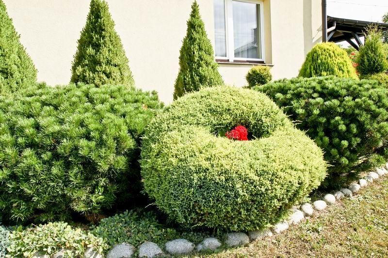 Warto się pochwalić zielonym azylem