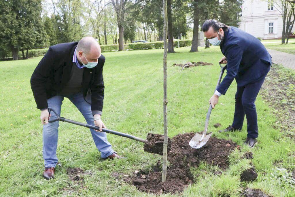 Park Lubomirskich przechodzi lifting