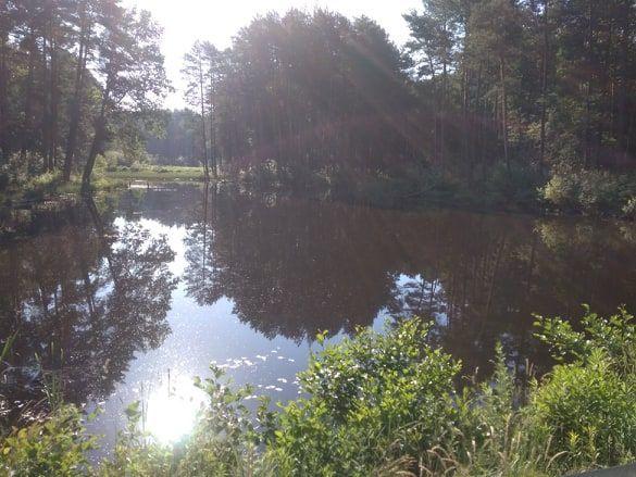 Mieszkańcy wzięli sprawy w swoje ręce! Zwycięski „witacz” miejscowości wyłoniony