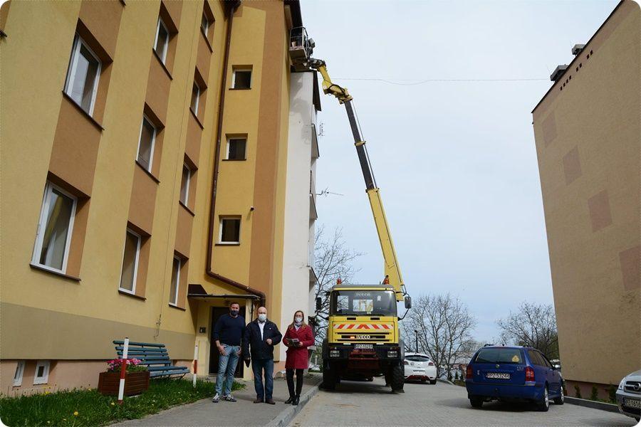 Jerzykiem w komara