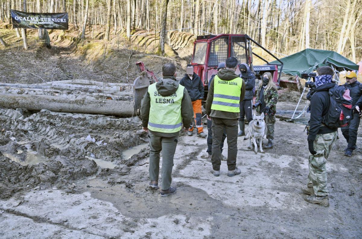 Ogłosili blokadę wycinki i okupację [WIDEO, ZDJĘCIA]