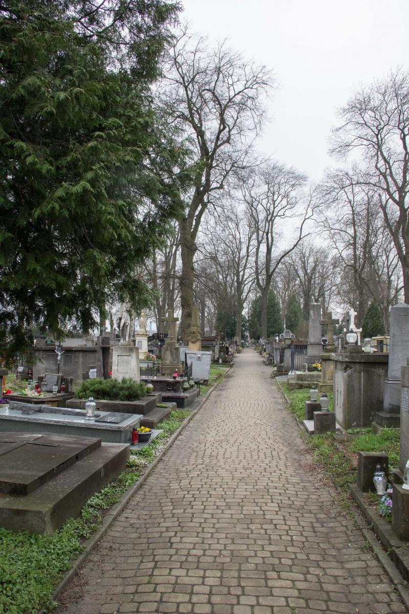 Zajmą się drzewami na starym cmentarzu. Pod topór idzie 5 jesionów