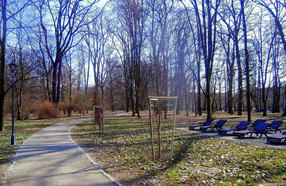 84 nowe nasadzenia, Jarosław uzupełnia braki w zieleni