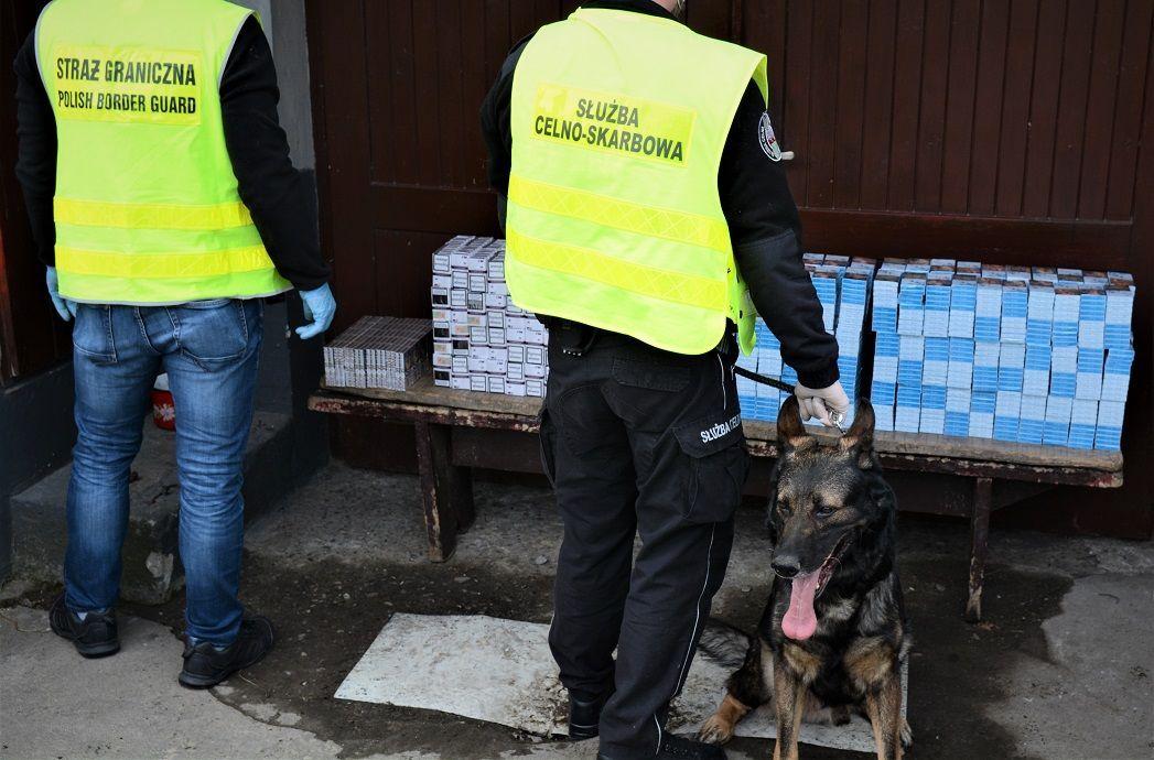 Meble wypełnione 4 tysiącami paczek nielegalnych papierosów [ZDJĘCIA]