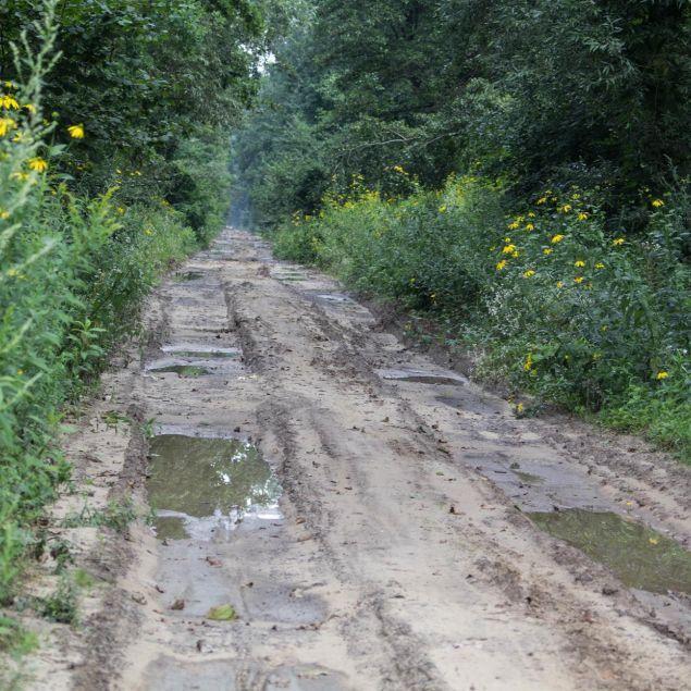 NIK o Green Velo. Sporo krytycznych uwag