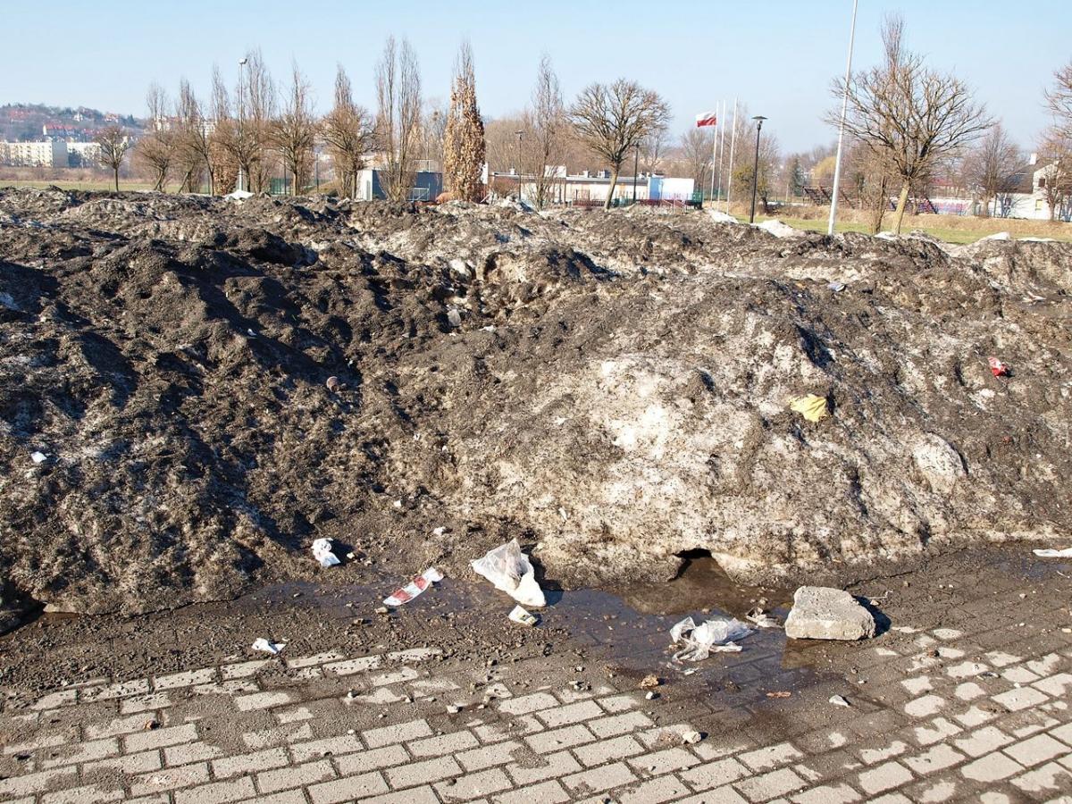 Piękny „witacz” przy ulicy Sanockiej w Przemyślu