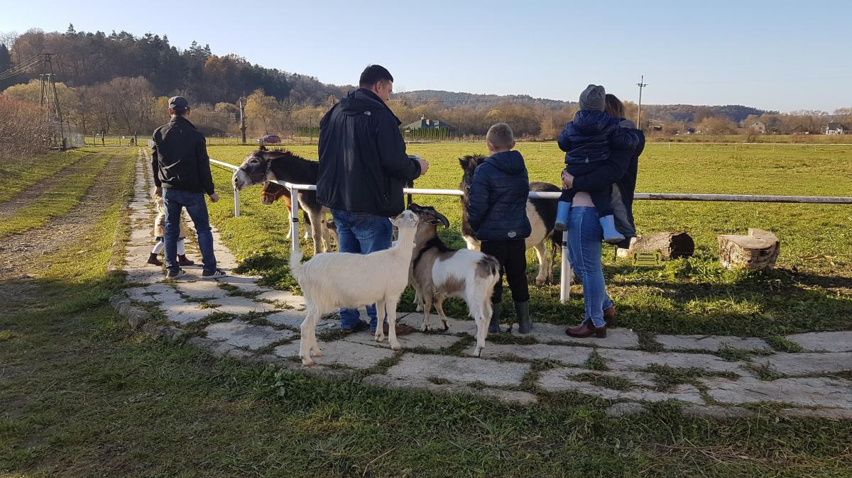 Minizoo zaczyna się budzić do życia [GALERIA]