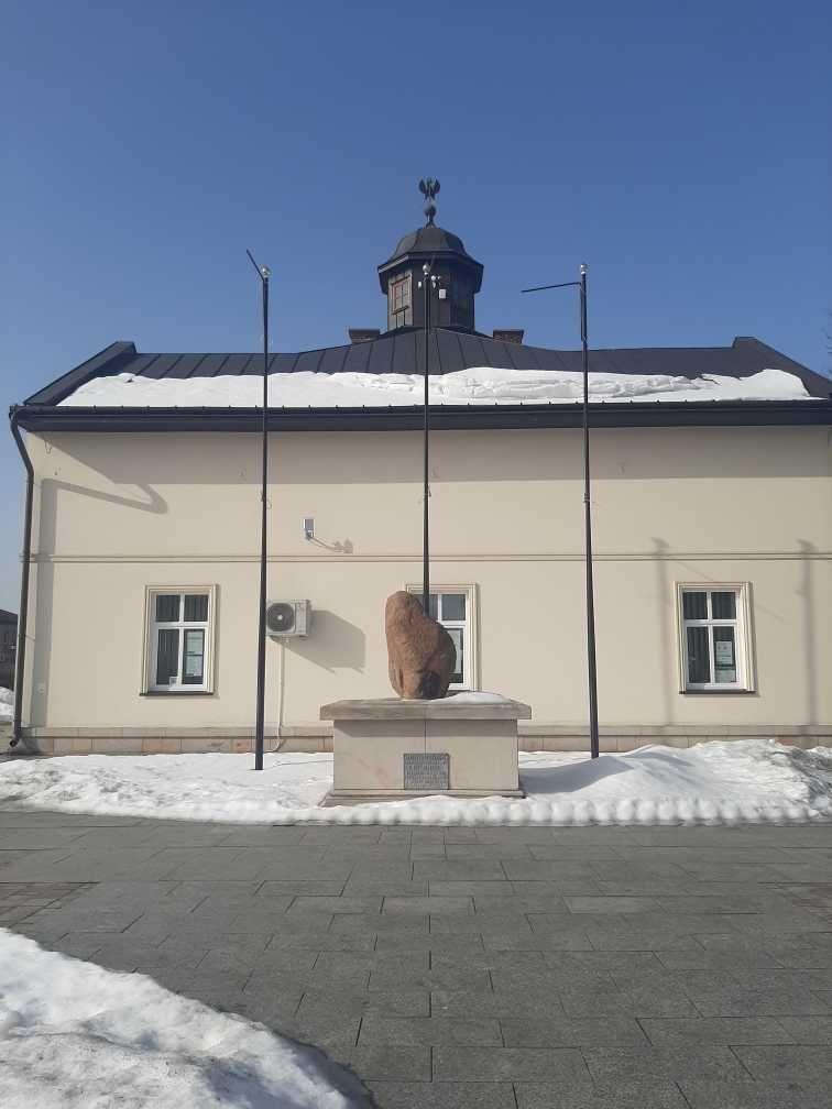 Sobieski na koniu czy bez? Ratusz o zdanie zapytał mieszkańców