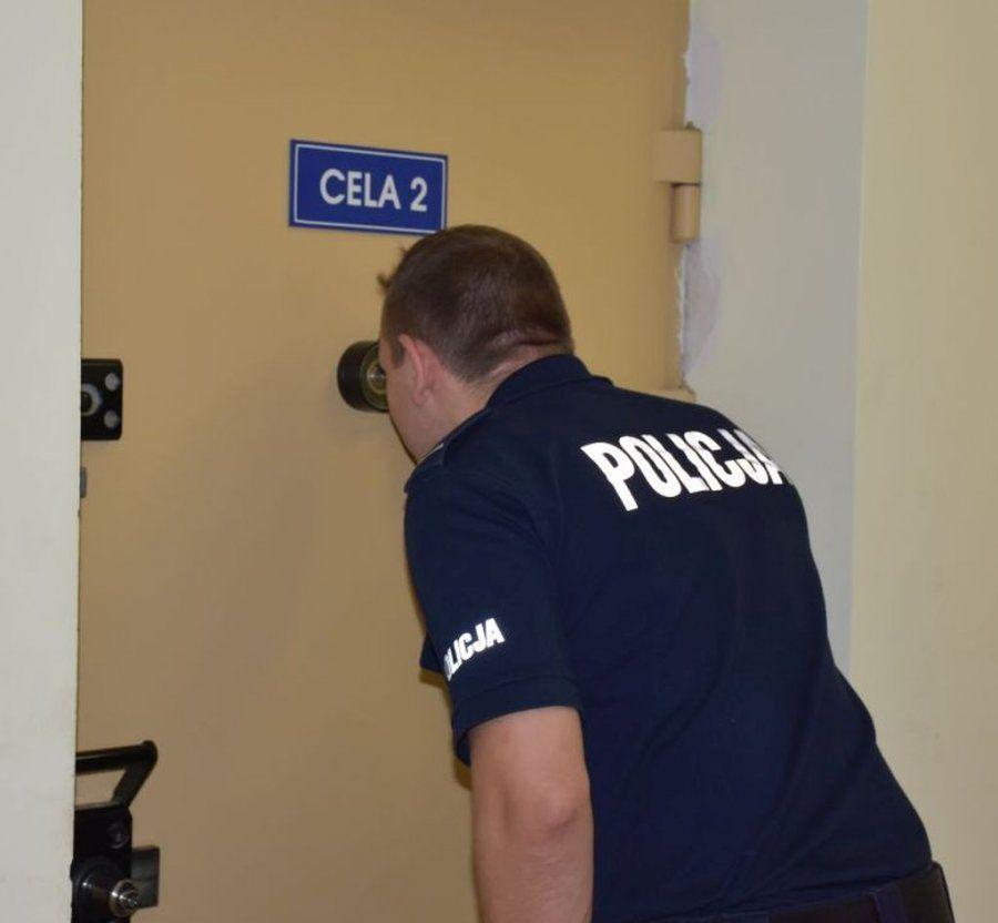 Sprawca przemocy domowej w areszcie