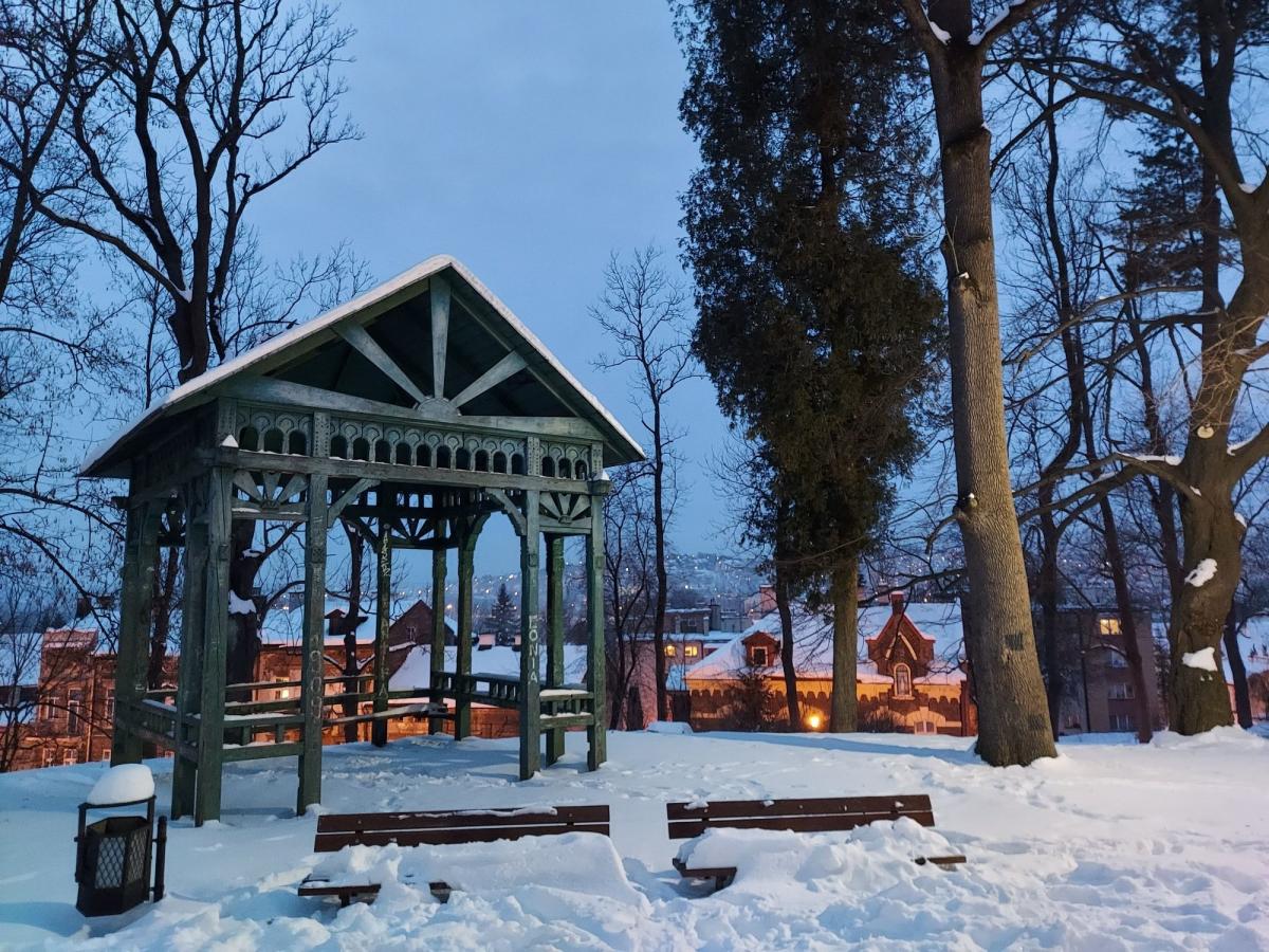 Park Miejski w Przemyślu w zimowej odsłonie [ZDJĘCIA]