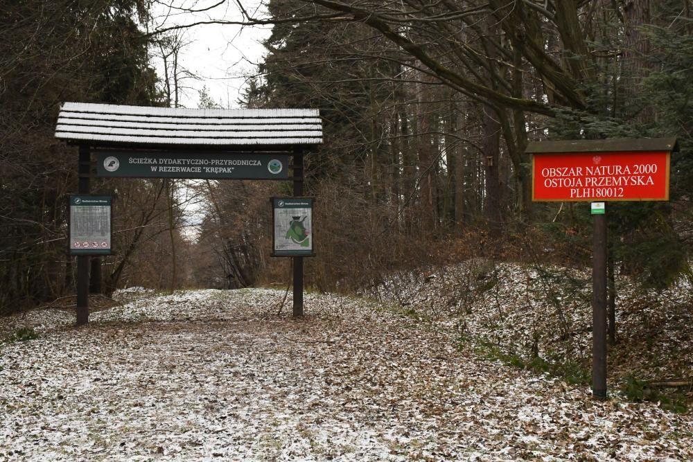Nowe poręcze, kładki i schody. Ścieżka już po remoncie!