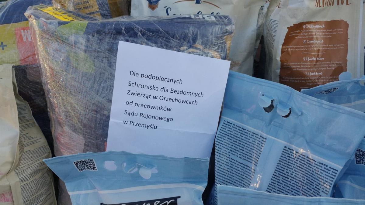 Pracownicy Sądu Rejonowego w Przemyślu pamiętali o bezdomnych zwierzakach [ZDJĘCIA]