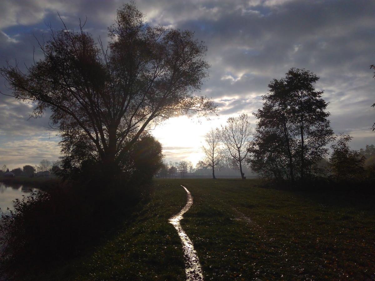 Piękno Radymna odkryte