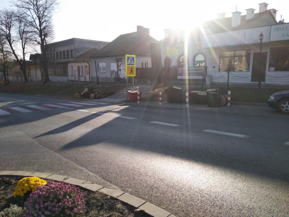 Gmina drzew nie wycinała 