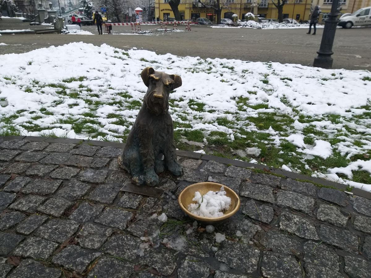 W Przemyślu trwa remont nawierzchni Rynku [ZDJĘCIA]