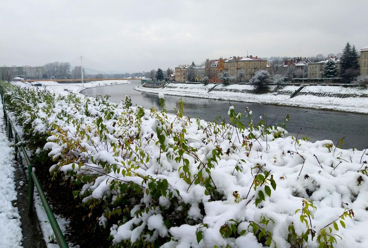 Zima zawitała do Przemyśla. Miasto przyprószone śniegiem [ZDJĘCIA]