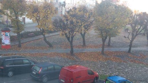 Liście zalegające na przemyskim Rynku trzeba sprzątać na bieżąco [SYGNAŁY CZYTELNIKÓW]