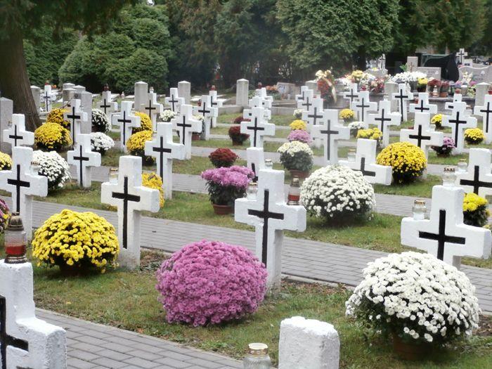 Kwatera wojenna na cmentarzu w Jarosławiu udekorowana kwiatami [ZDJĘCIA]