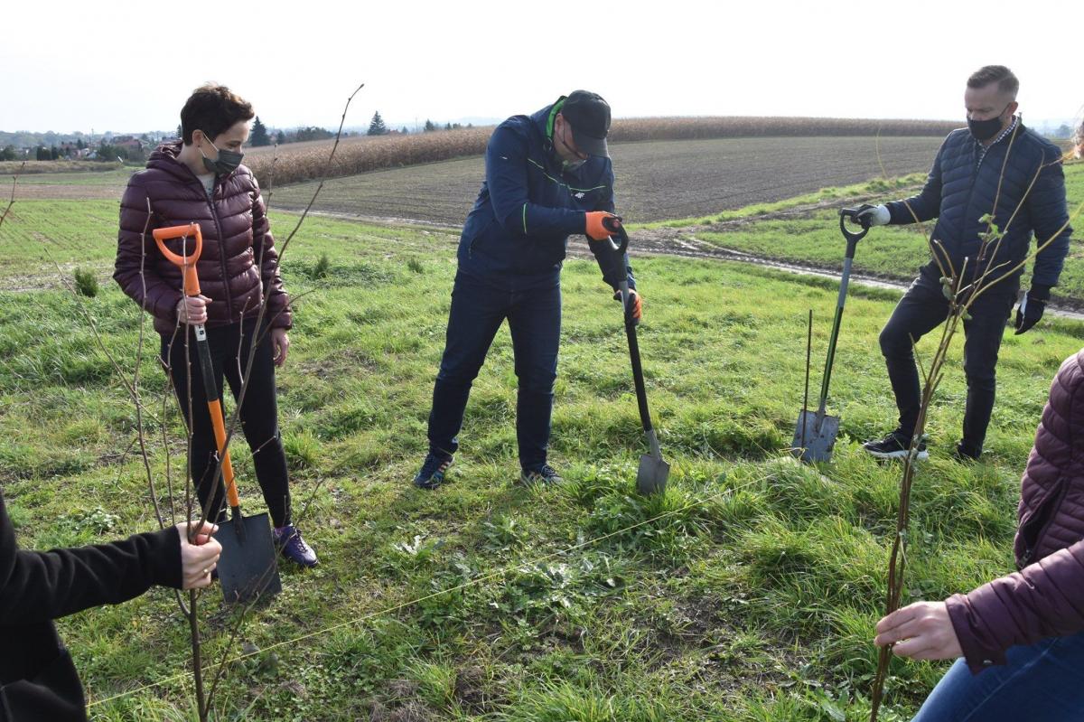 Władze gminy Przeworsk pomagają… pszczołom