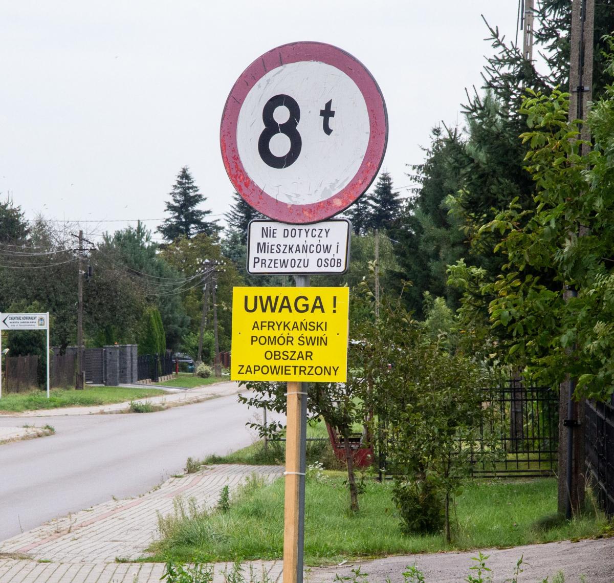 Wraz z końcem intensywnych prac polowych epidemia ASF zwolniła